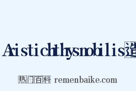 Aristichthysnobilis造句是什么意思的图片